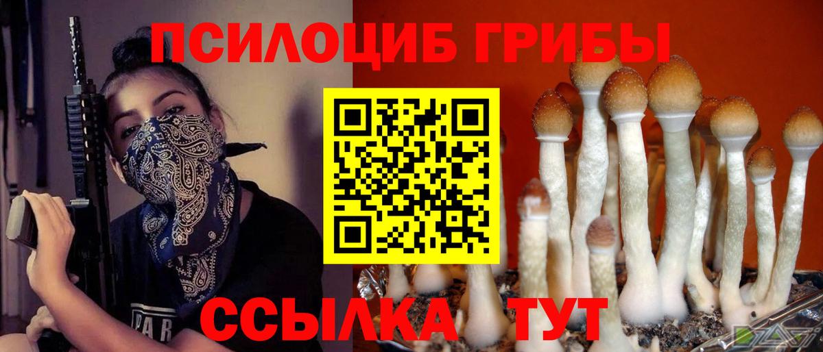 Псилоцибиновые грибы мицелий Усть-Илимск